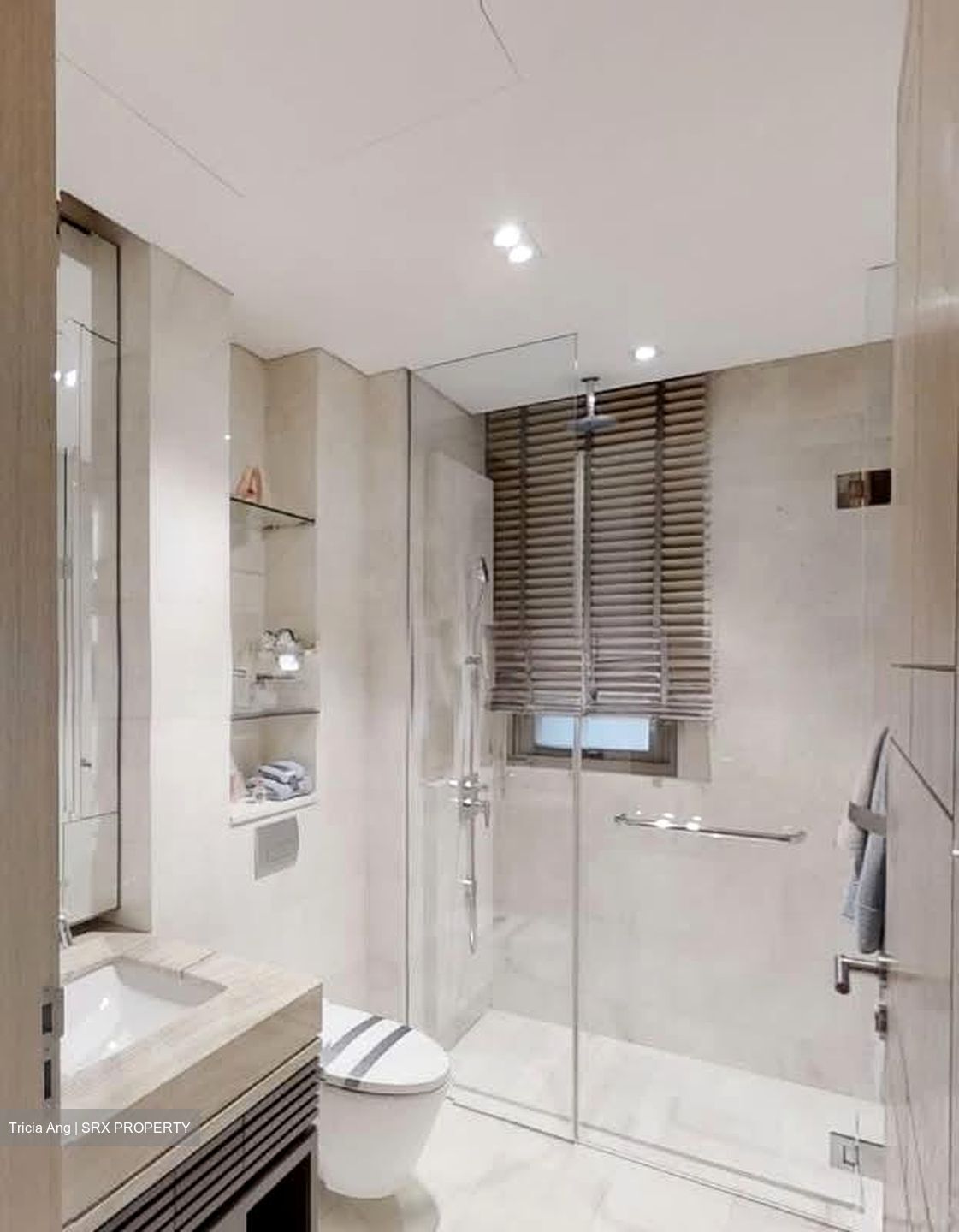 Bishopsgate Residences (D10), Condominium #582392831